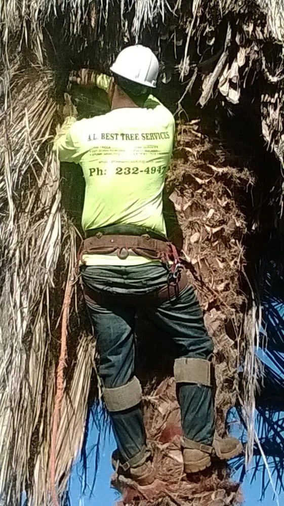 Custom outdoor landscaping in Honolulu, HI by AL Best Tree Services