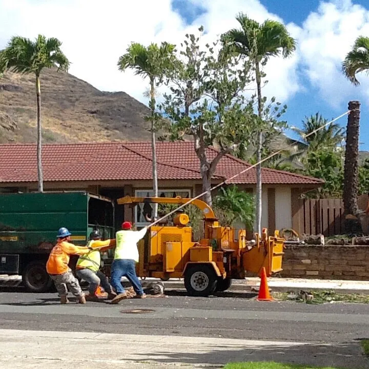 Local yard maintenance experts serving Honolulu, HI - AL Best Tree Services