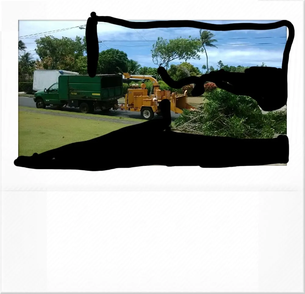 Trusted landscape installation experts serving Honolulu, HI - AL Best Tree Services