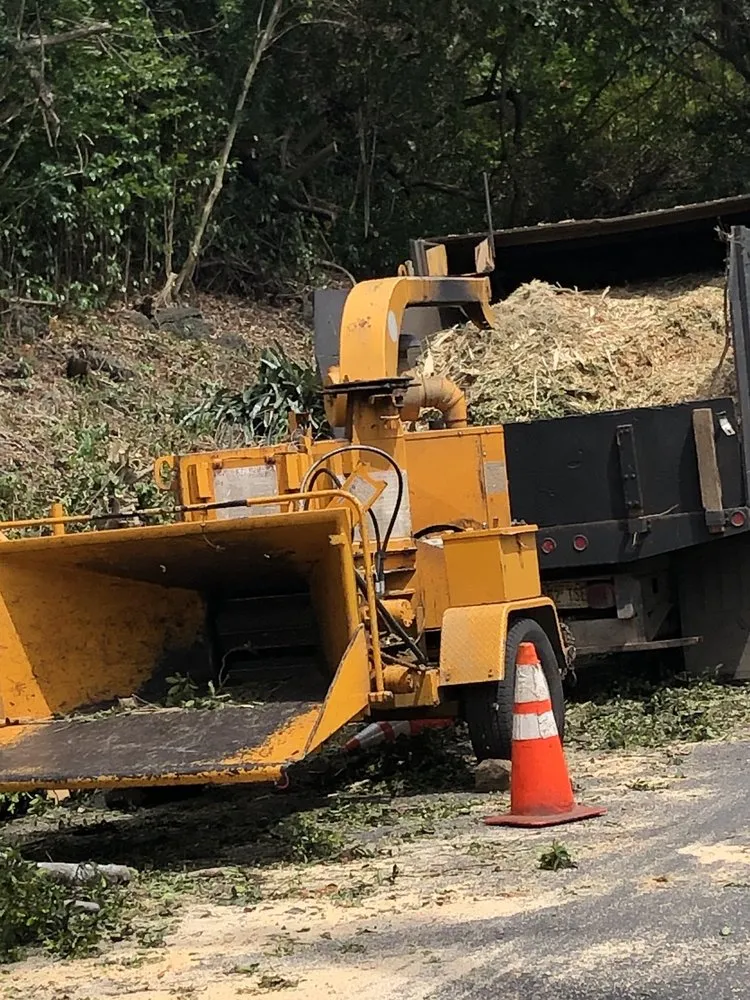 Local yard cleanup service in Honolulu, HI by AL Best Tree Services