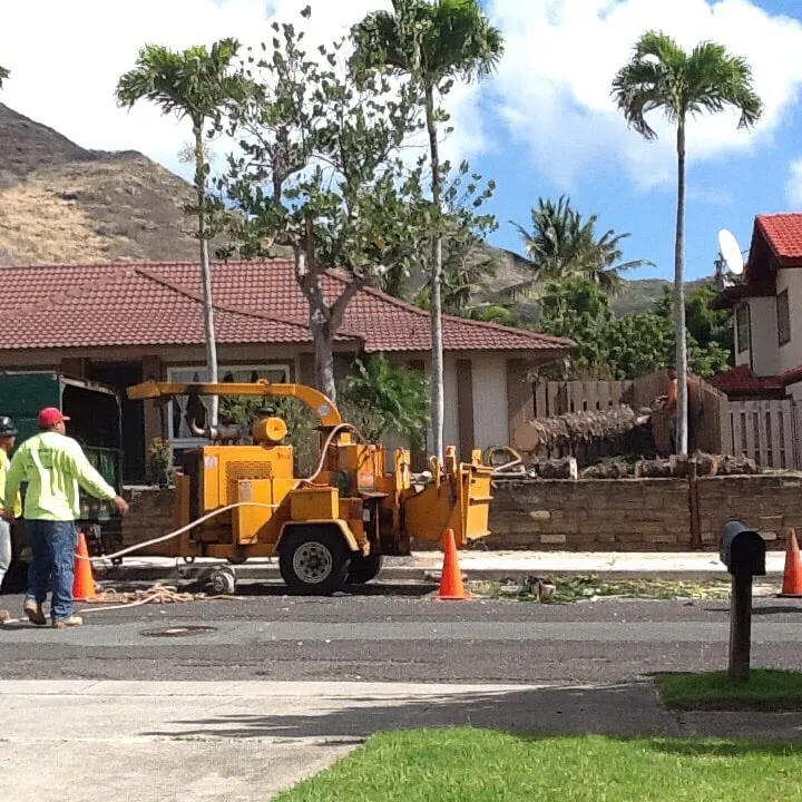 Local garden landscaping for outdoor upgrades in Honolulu, HI by AL Best Tree Services