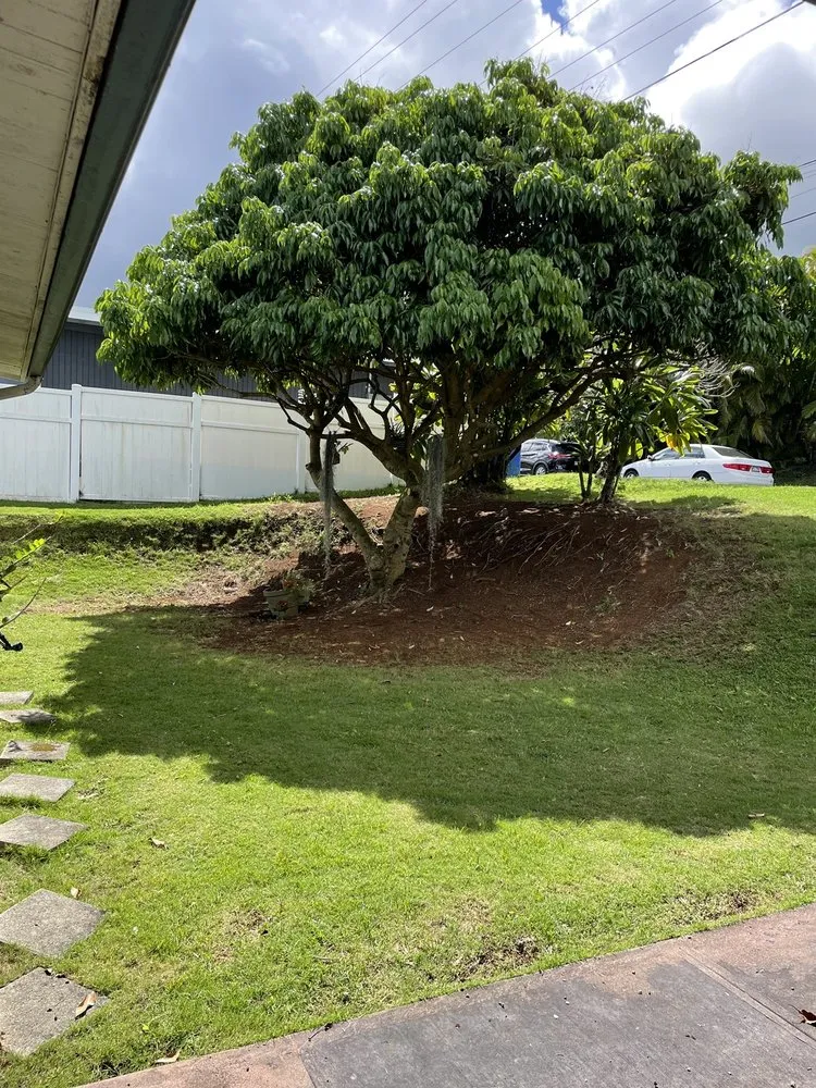 Affordable landscape installation experts serving Honolulu, HI - AL Best Tree Services
