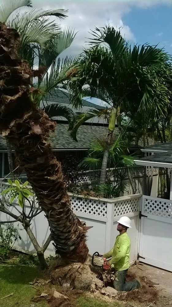 Trusted residential landscaping experts serving Honolulu, HI - AL Best Tree Services