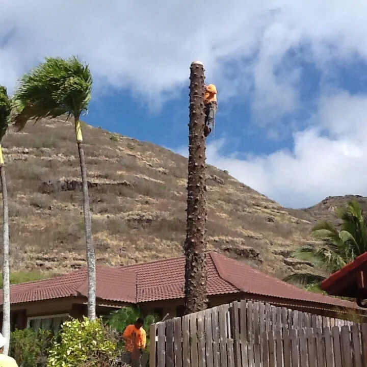 Expert garden landscaping experts serving Honolulu, HI - AL Best Tree Services