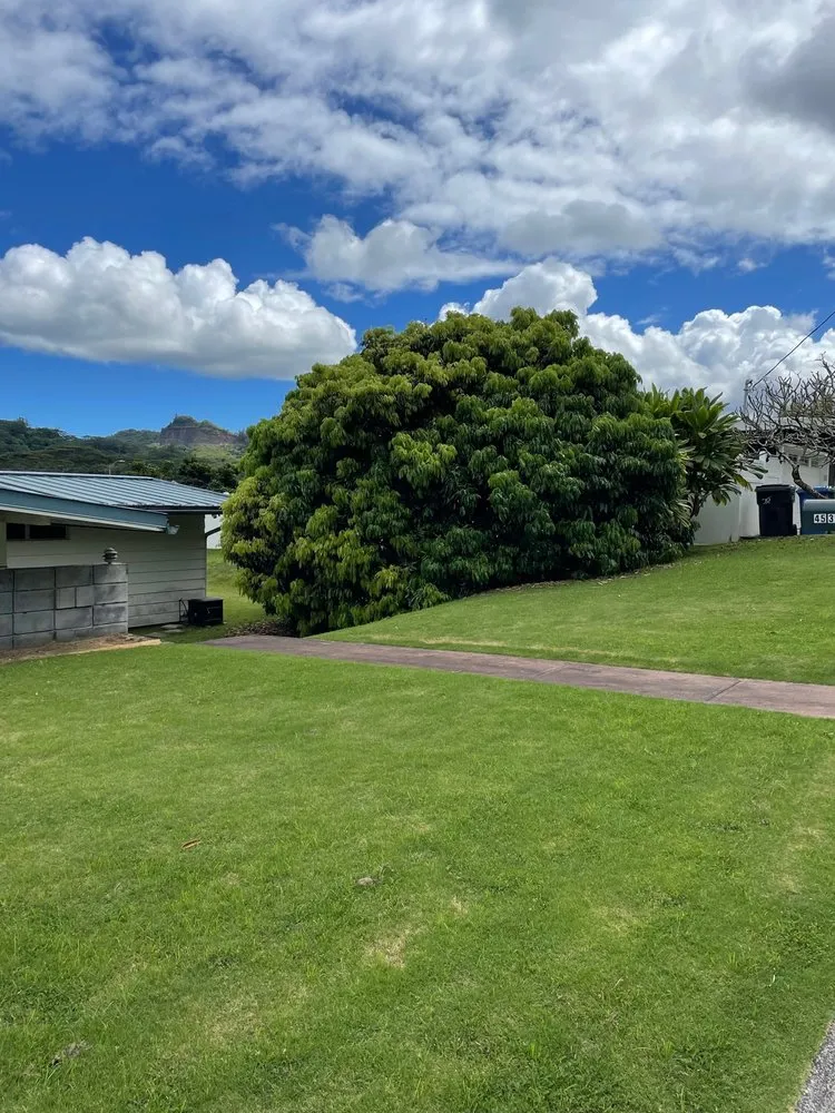 Trusted outdoor landscaping with custom design across Honolulu, HI - AL Best Tree Services