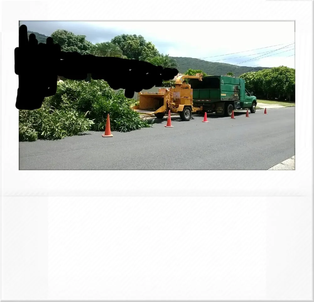 Expert landscape design experts serving Honolulu, HI - AL Best Tree Services