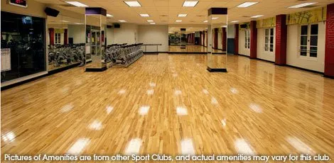 Trusted yard cleanup service experts serving Honolulu, HI - AL Best Tree Services