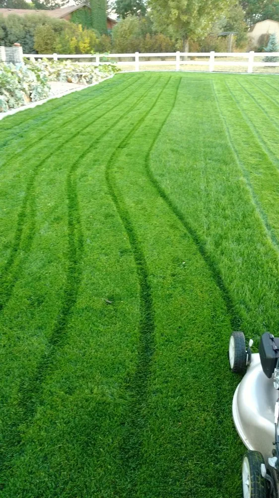 Professional landscape design in Mapleton, IL - Al Bragg Excavating