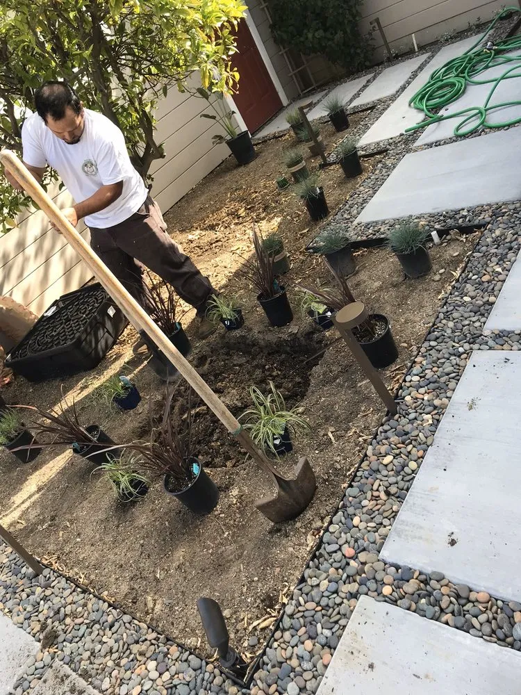 Trusted yard cleanup service for outdoor upgrades in East Palo Alto, CA by Al Carpio Landscaping