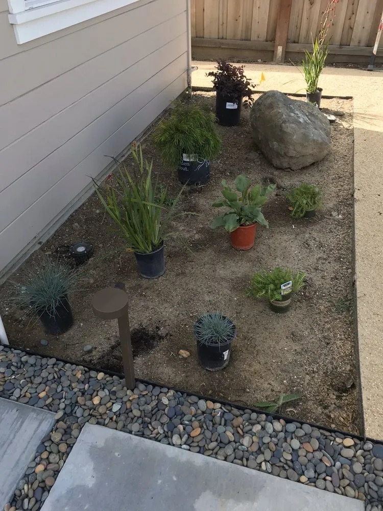 Trusted lawn care service for year-round maintenance across East Palo Alto, CA - Al Carpio Landscaping