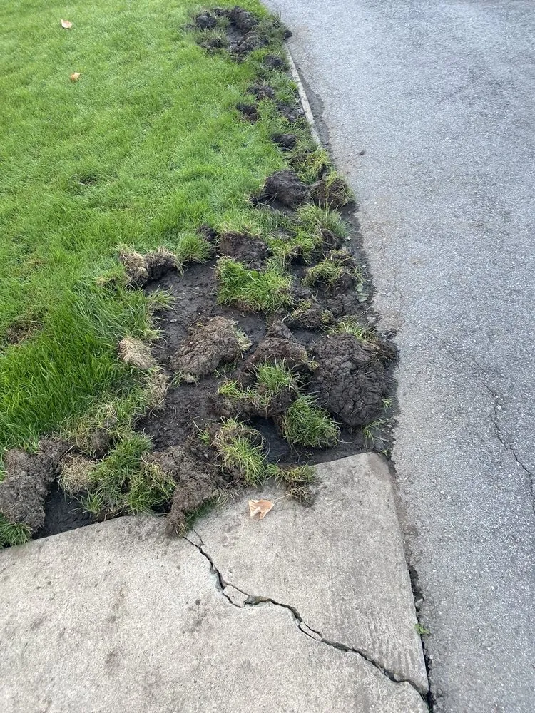 Trusted outdoor landscaping for year-round maintenance in East Palo Alto, CA by Al Carpio Landscaping