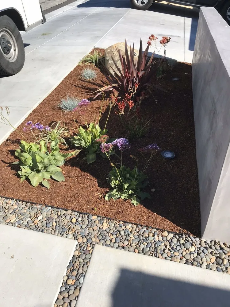 Affordable residential landscaping experts serving East Palo Alto, CA - Al Carpio Landscaping