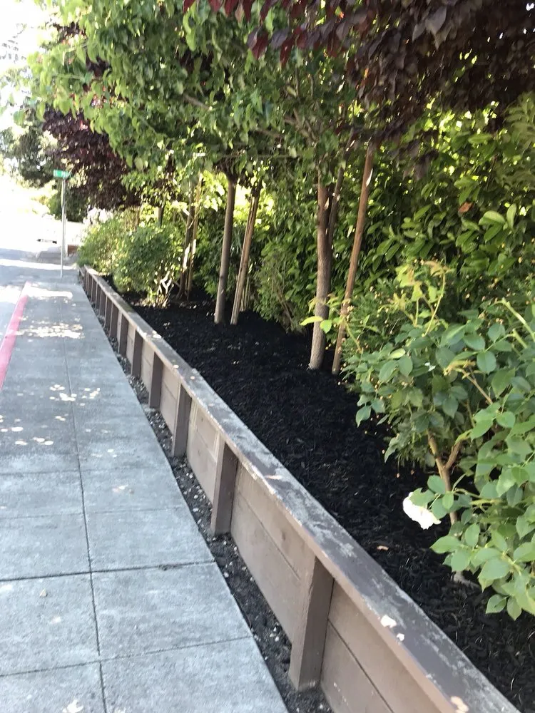 Custom outdoor landscaping in East Palo Alto, CA - Al Carpio Landscaping