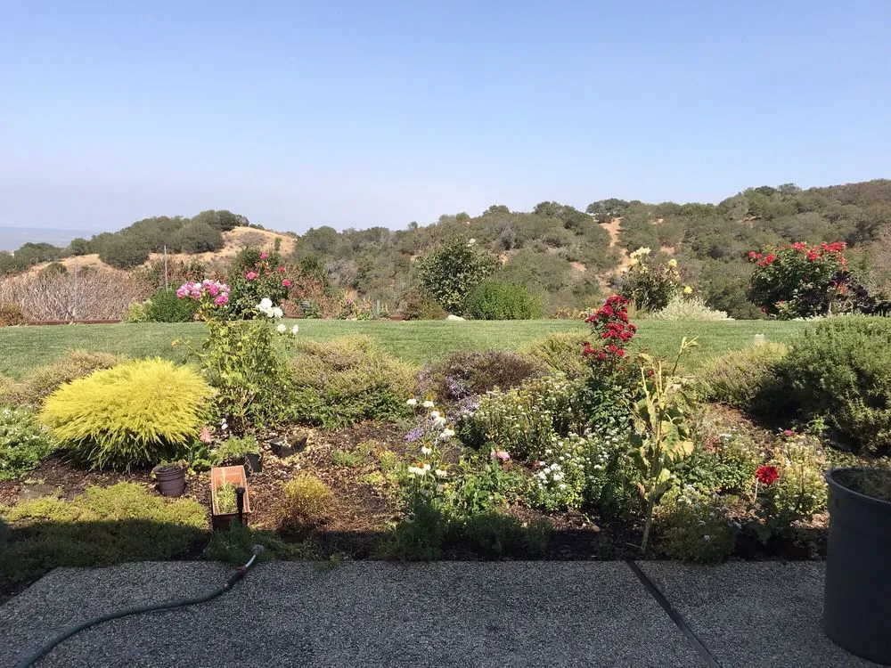 Expert yard maintenance for outdoor upgrades across East Palo Alto, CA - Al Carpio Landscaping