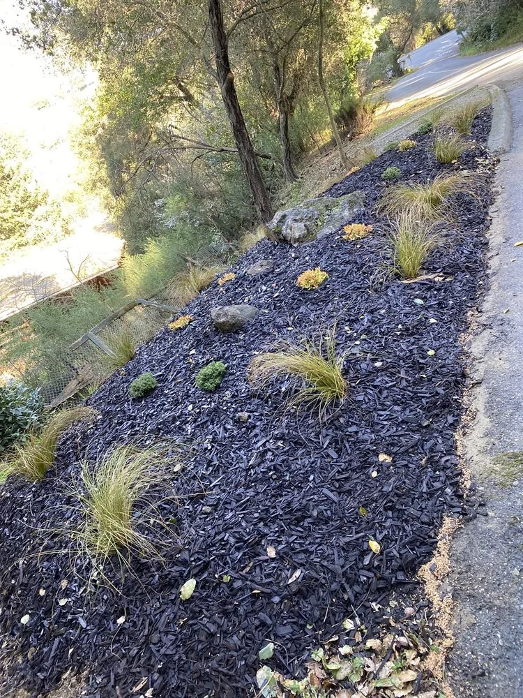 Trusted yard maintenance in East Palo Alto, CA by Al Carpio Landscaping