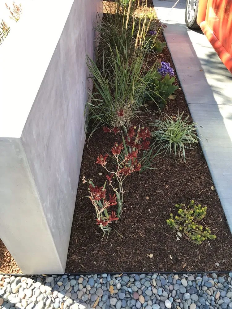 Local landscape design experts serving East Palo Alto, CA - Al Carpio Landscaping