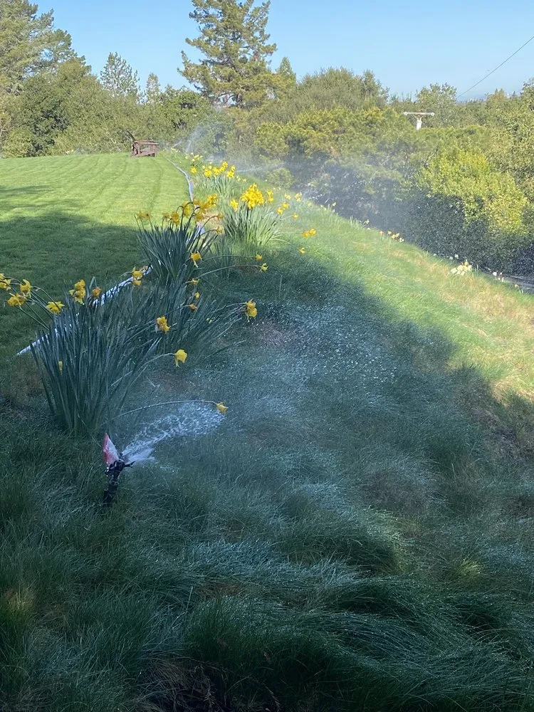 Professional landscape design for outdoor upgrades in East Palo Alto, CA by Al Carpio Landscaping