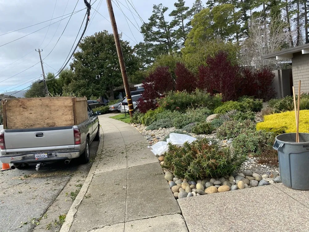 Local landscape design in East Palo Alto, CA - Al Carpio Landscaping