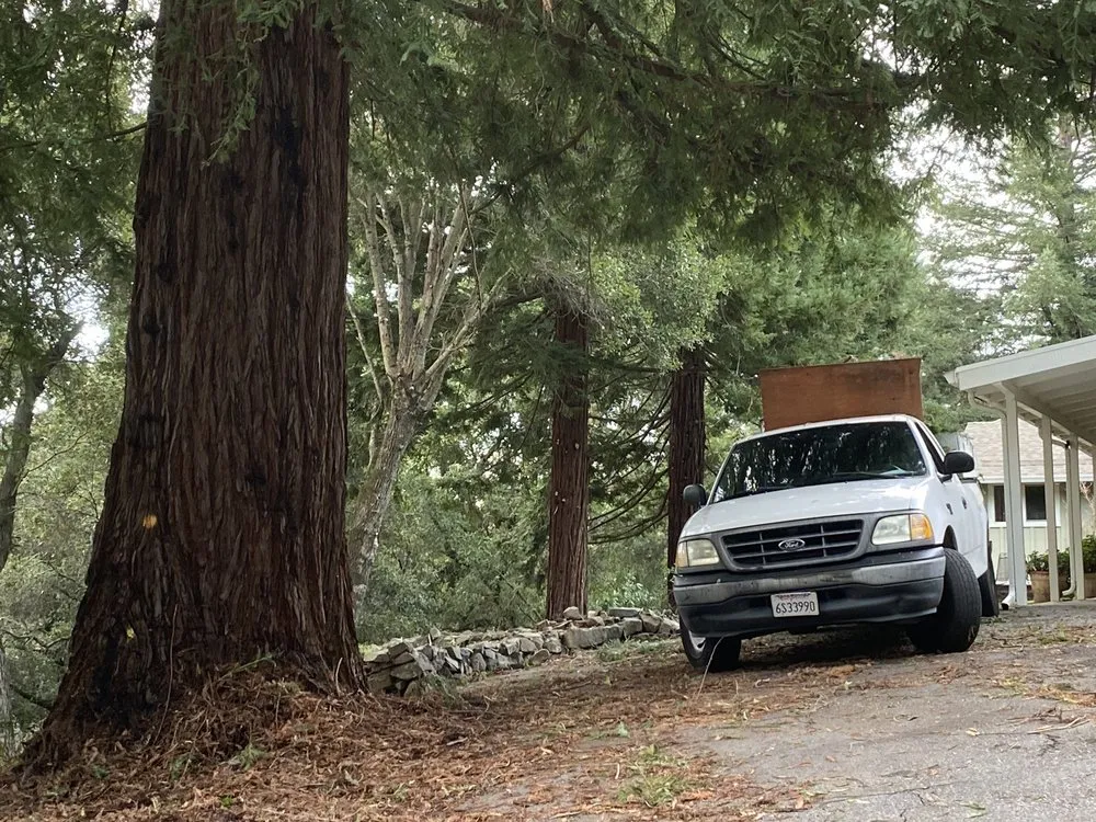 Expert landscape design in East Palo Alto, CA by Al Carpio Landscaping