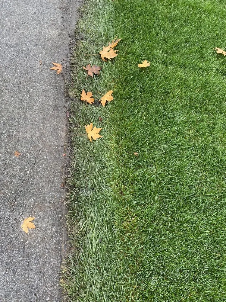 Local landscape installation in East Palo Alto, CA by Al Carpio Landscaping