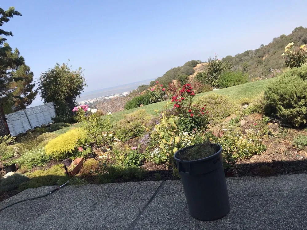 Affordable lawn care service in East Palo Alto, CA by Al Carpio Landscaping