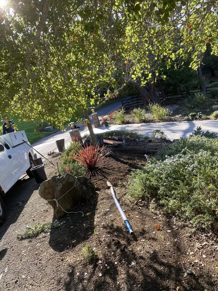 Reliable residential landscaping with custom design in East Palo Alto, CA by Al Carpio Landscaping