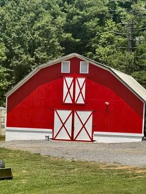 A&L Construction And Lawn Care Logo