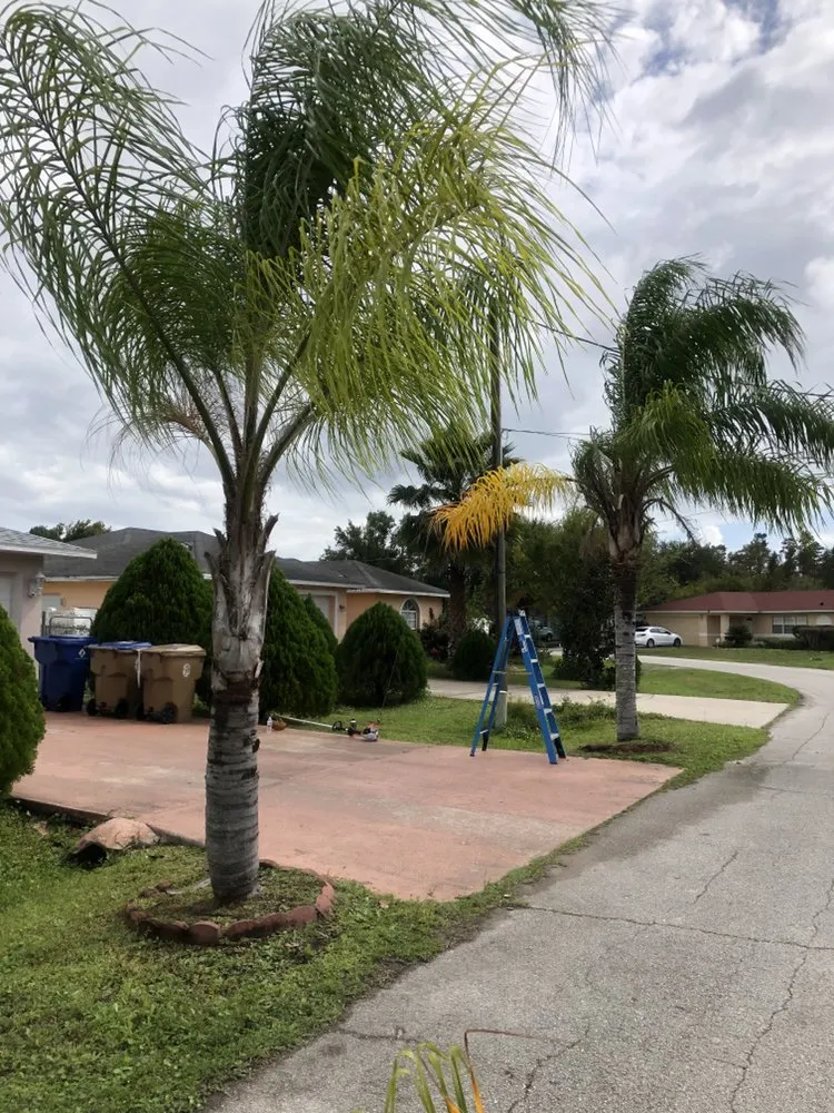 Local lawn care service in Kissimmee, FL - Al Cortez Lawn & Landscaping Services