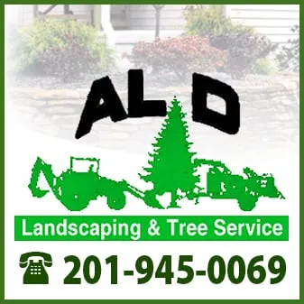 Affordable lawn mowing service for residential properties in Fairview, NJ by Al D Landscaping & Tree Service
