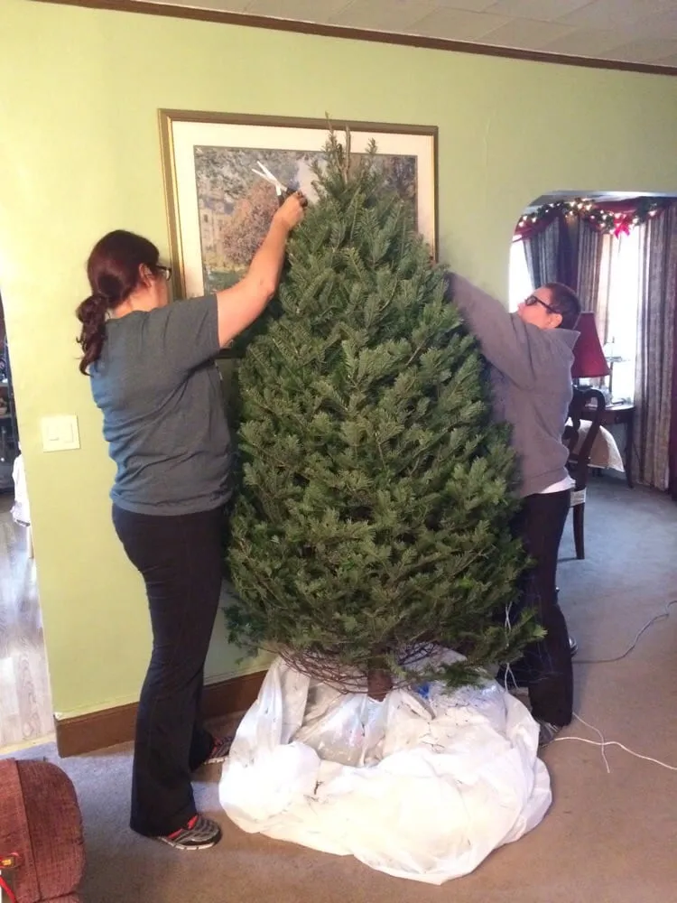 Top-rated landscape design in Fairview, NJ - Al D Landscaping & Tree Service