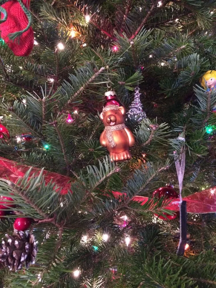 Expert lawn care service experts serving Fairview, NJ - Al D Landscaping & Tree Service