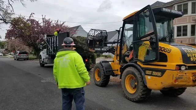 Reliable landscape installation experts serving Fairview, NJ - Al D Landscaping & Tree Service