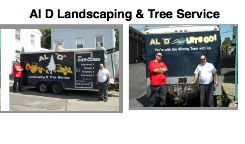 Professional lawn mowing service in Fairview, NJ by Al D Landscaping & Tree Service