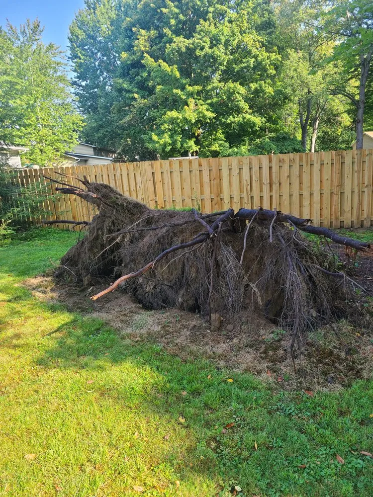 Professional yard cleanup service for outdoor upgrades in Newton Falls, OH by Al Fish Stump Grinding