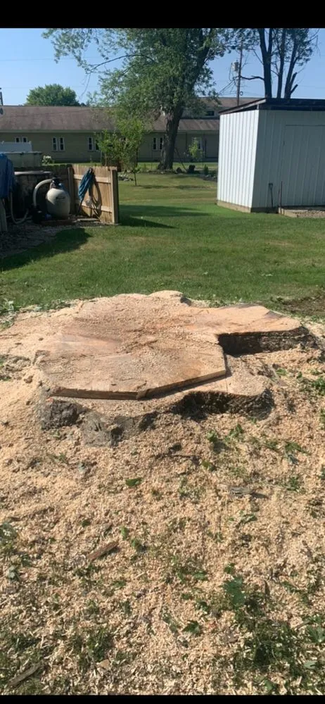 Affordable residential landscaping experts serving Newton Falls, OH - Al Fish Stump Grinding