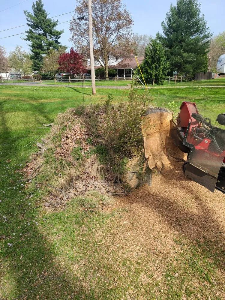 Local landscaping services experts serving Newton Falls, OH - Al Fish Stump Grinding