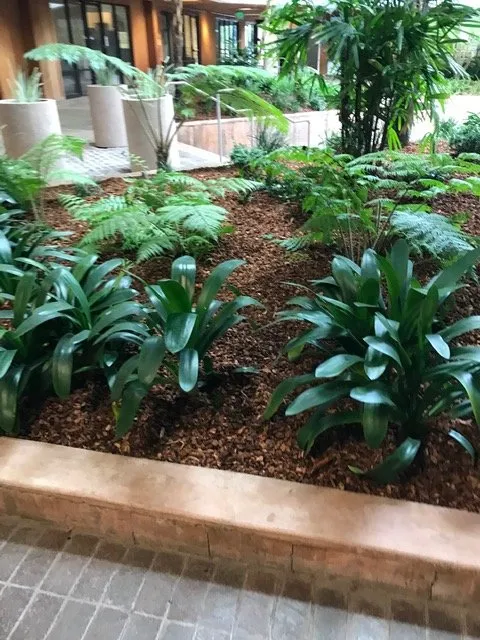 Expert yard maintenance for year-round maintenance across Hollister, CA - Al Fresco Landscape Management