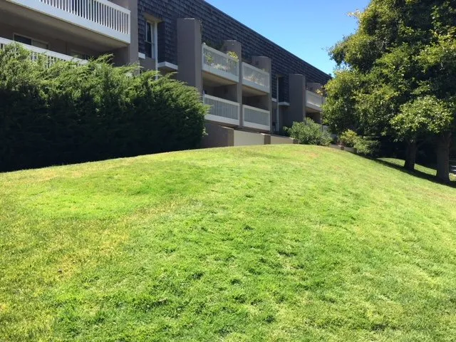 Expert outdoor landscaping in Hollister, CA - Al Fresco Landscape Management