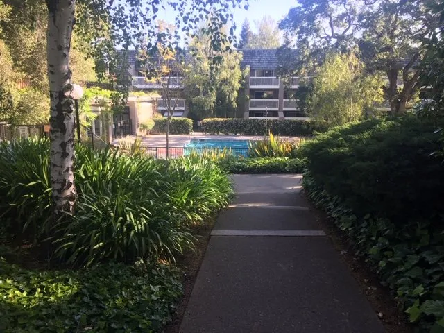 Expert landscape design near you across Hollister, CA - Al Fresco Landscape Management