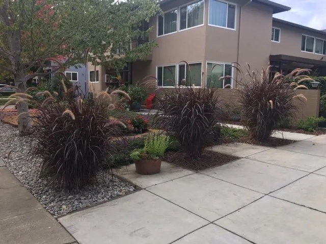 Expert lawn care service in Hollister, CA by Al Fresco Landscape Management