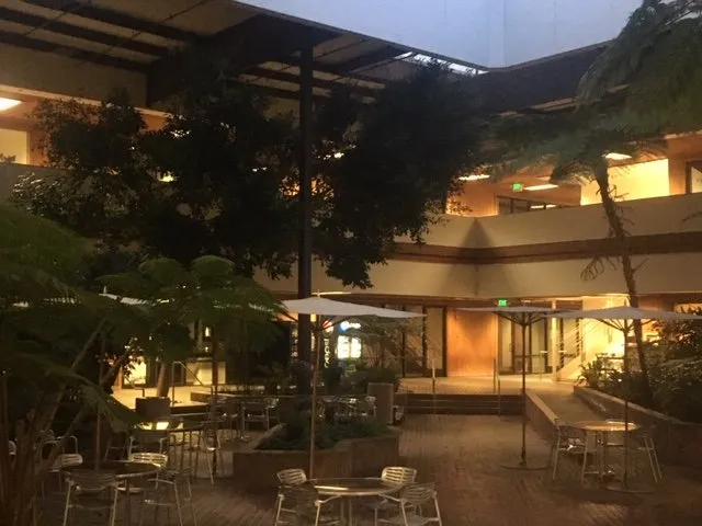 Trusted yard cleanup service for beautiful yards in Hollister, CA by Al Fresco Landscape Management