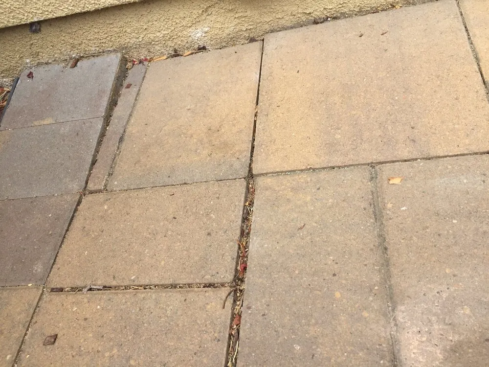 Expert yard maintenance for year-round maintenance across Hollister, CA - Al Fresco Landscape Management