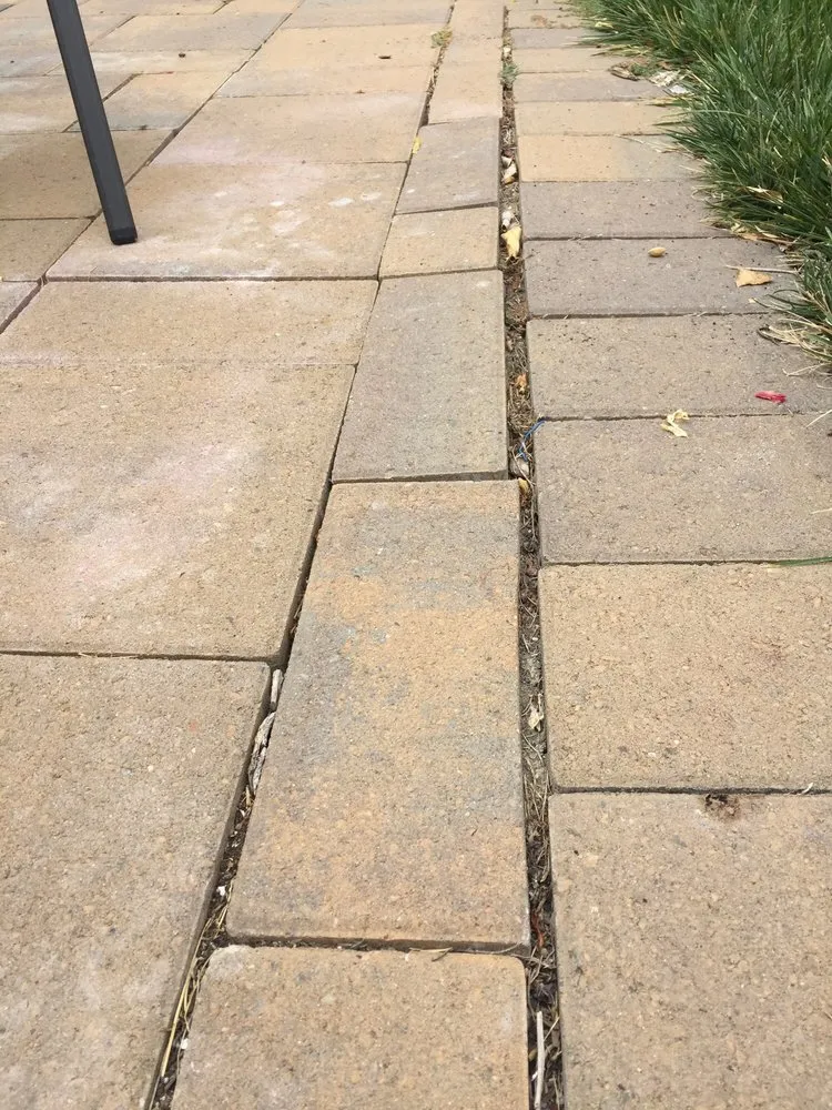 Affordable lawn care service in Hollister, CA by Al Fresco Landscape Management