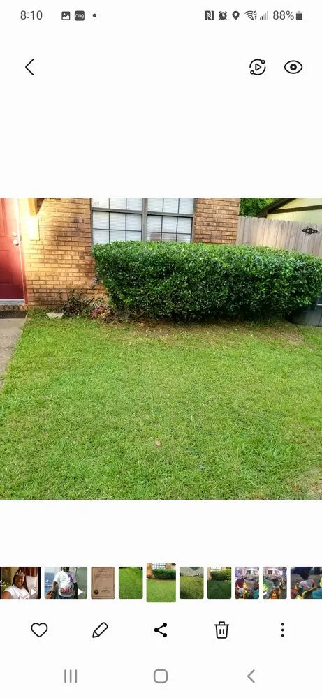 Top-rated garden landscaping in Tallahassee, FL - AL In It Lawn Services