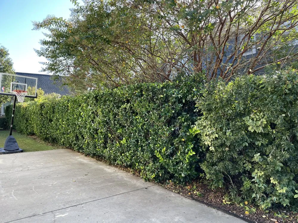 Trusted landscape design experts serving Conway, SC - A&L Landscaping