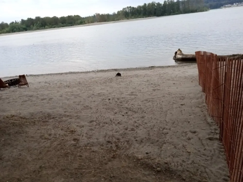 Affordable landscape design experts serving Kalama, WA - A&L Landscaping