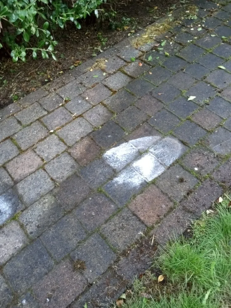 Expert yard cleanup service in Kalama, WA by A&L Landscaping