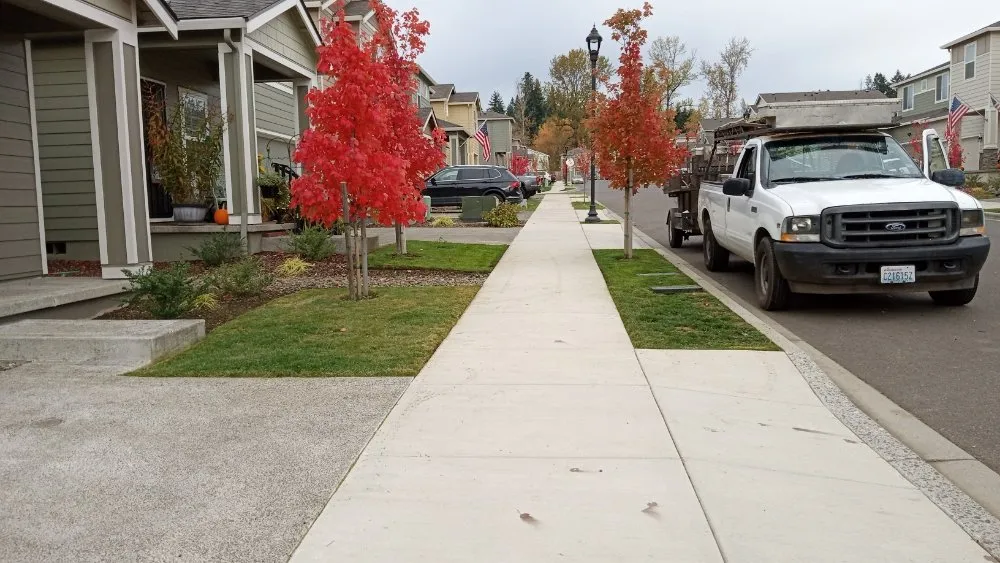 Reliable yard cleanup service near you across Kalama, WA - A&L Landscaping