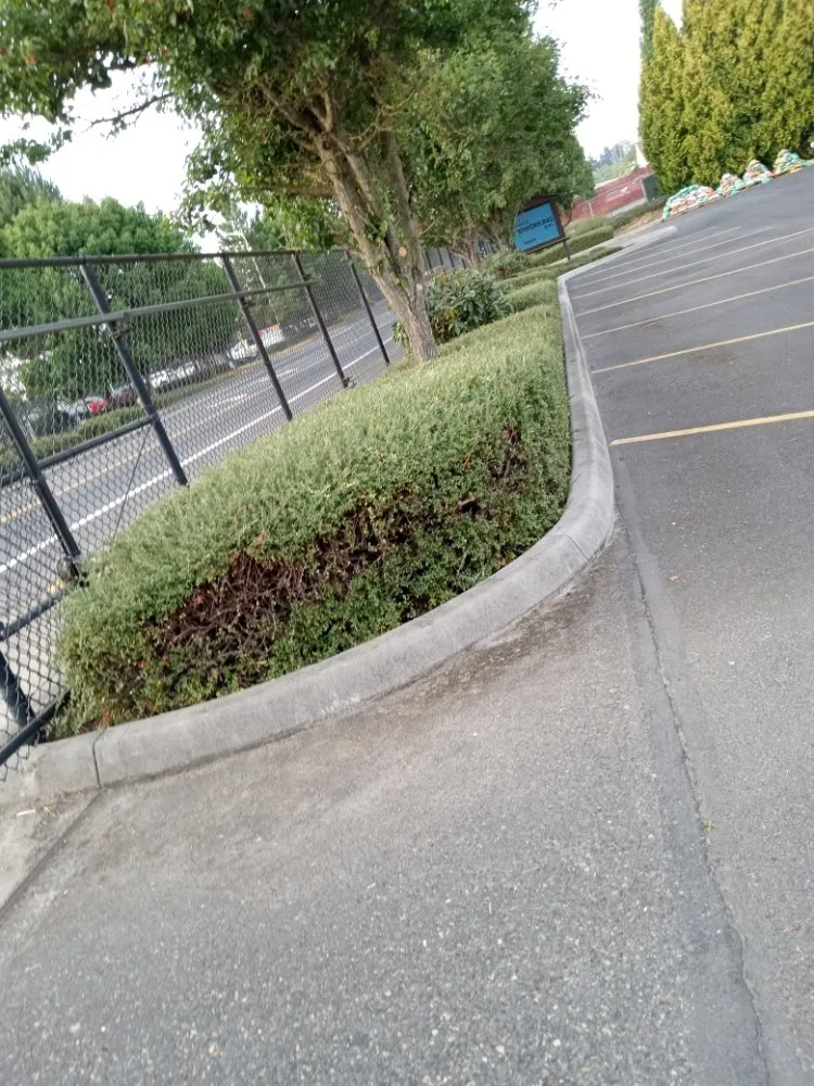 Top-rated lawn mowing service for beautiful yards across Kalama, WA - A&L Landscaping