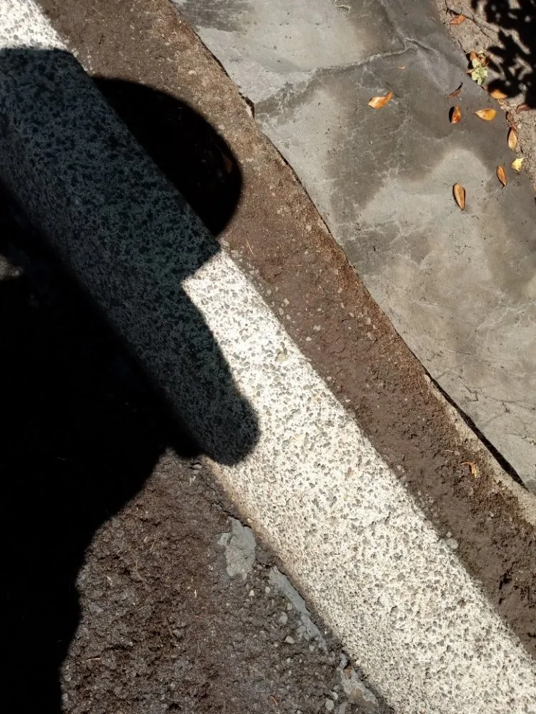 Professional lawn care service for beautiful yards across Kalama, WA - A&L Landscaping